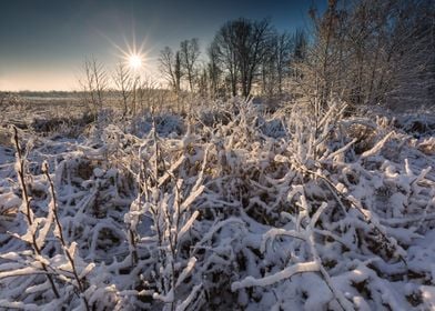 Landscape Frost Field Sky 