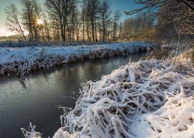 Winter Forest Snow Park Br