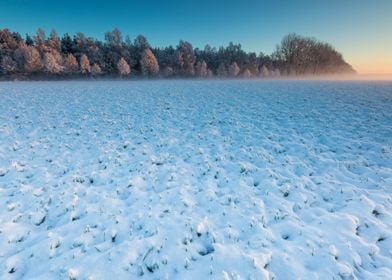 Landscape Frost Field Sky 