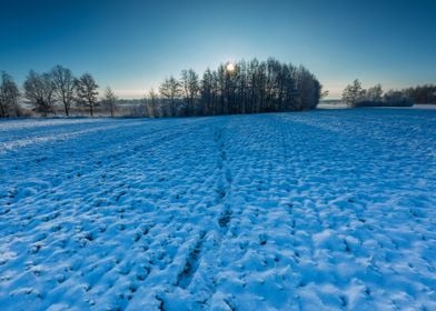 Landscape Frost Field Sky 