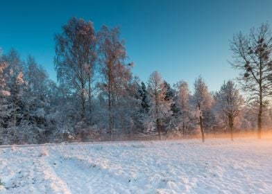 Landscape Frost Field Sky 