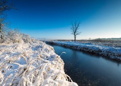 Winter Forest Snow Park Br