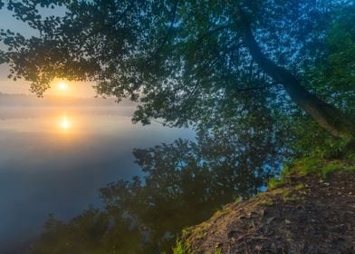 Lake Foggy Fog Tree Mist S