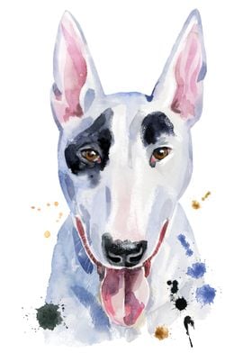  BULL TERRIER DOG 