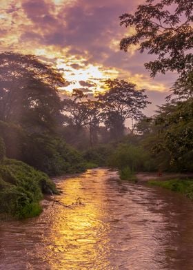 Sunrise of Ishasha river