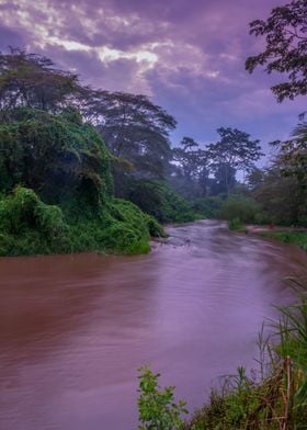 Sunrise on Ishasha river