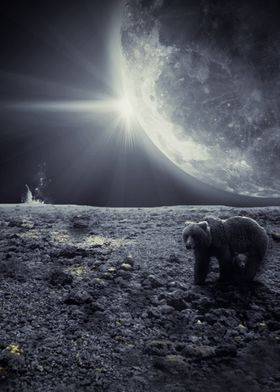 Bear Moon 
