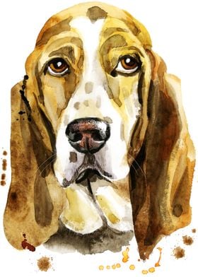 BASSET HOUND DOG 