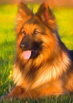 German Shepherd