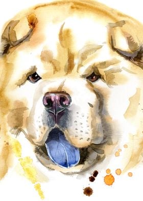 CHOW CHOW DOG WATERCOLOR