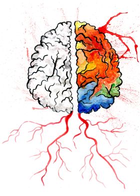 Colorful Human brains