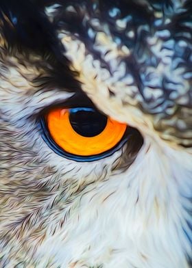 Owl Eye