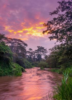 Sunrise on Ishasha river