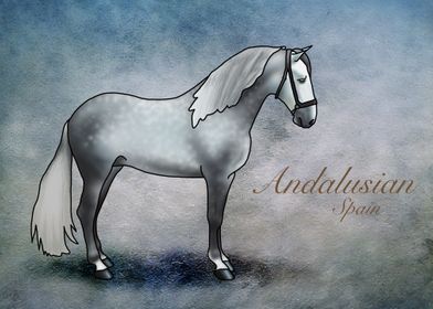 Andalusian