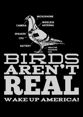 Birds Arent Real