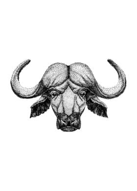 AFRICAN BUFFALO DRAWING