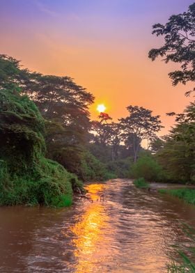 Sunrise on Ishasha river