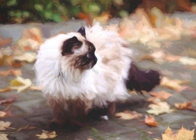 Surreal Birman