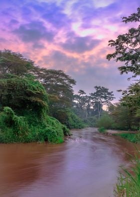 Sunrise on Ishasha river