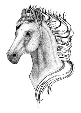 Horse drawing