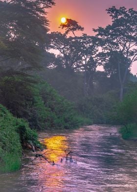 Sunrise on Ishasha river