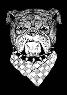 ENGLISH BRITISH BULLDOG