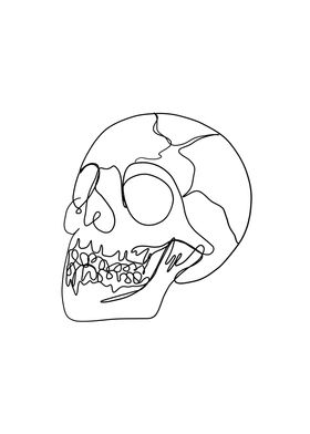 Line Art Skull