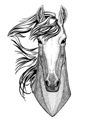 Horse BW drawing