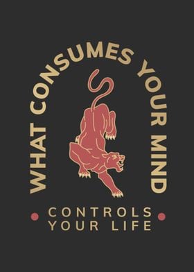 What Consumes Controls 