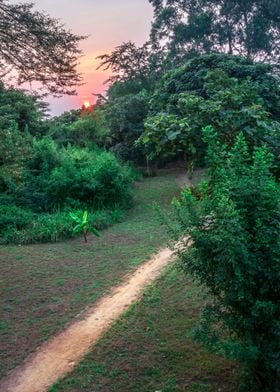 Sunset in Ishasha Uganda