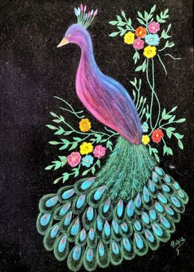 Peacock on Space
