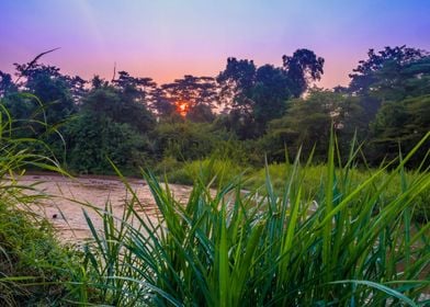 Sunrise on Ishasha river 