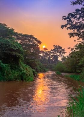 Sunrise on Ishasha river