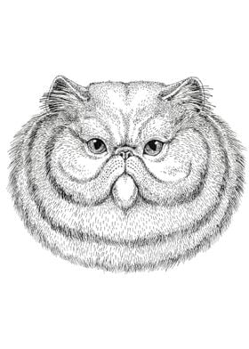 Cute Cat Drawing