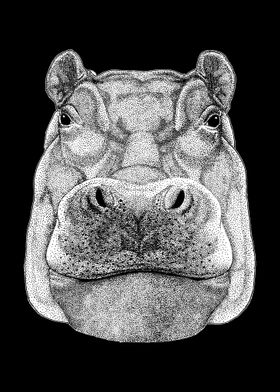 HIPPOPOTAMUS HIPPO DRAWING