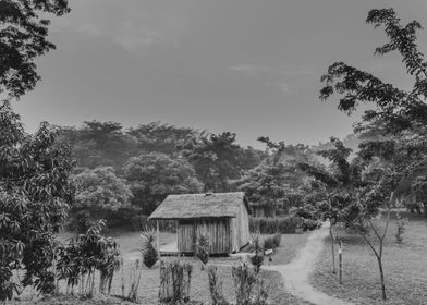 Sunset in Ishasha Uganda