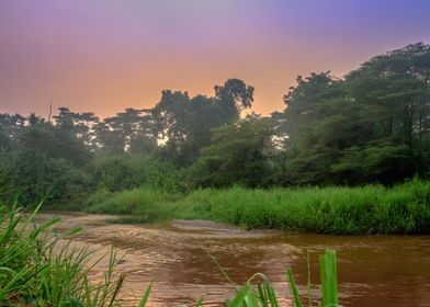 Sunrise on Ishasha river