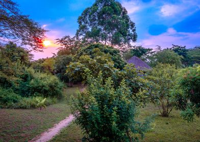 Sunset in Ishasha Uganda