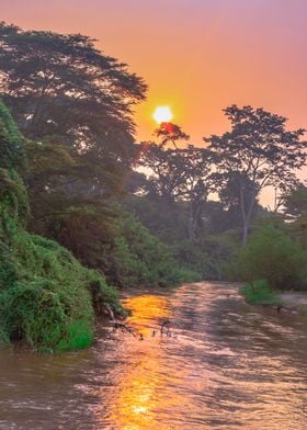 Sunrise on Ishasha river