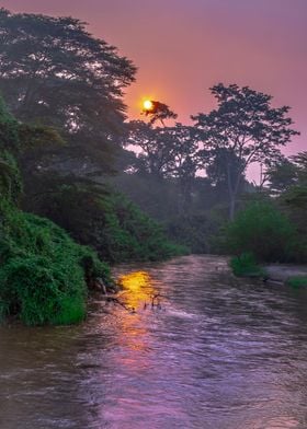 Sunrise on Ishasha river