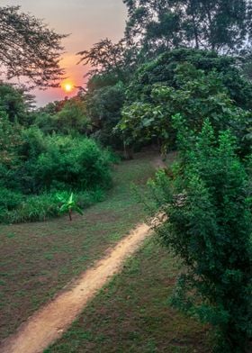 Sunset in Ishasha Uganda