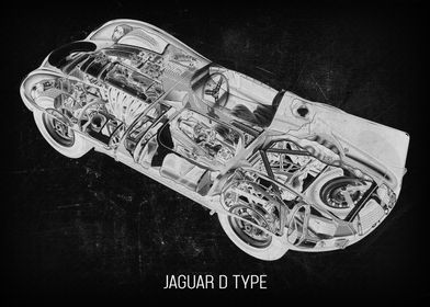 Jaguar DType