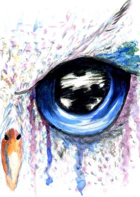 Blue owl eye