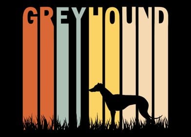 Greyhound