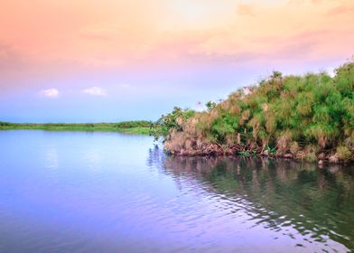 Sunset on Mabamba Swamp