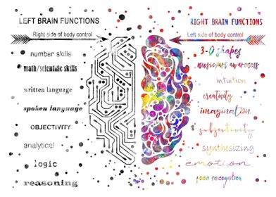 Left and right brain 