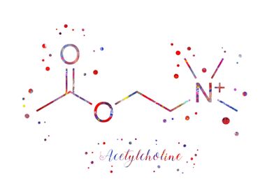 Acetylcholine molecule 