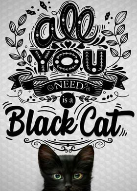 Black Cat in White