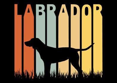 Labrador