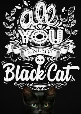 Black Cat in Black